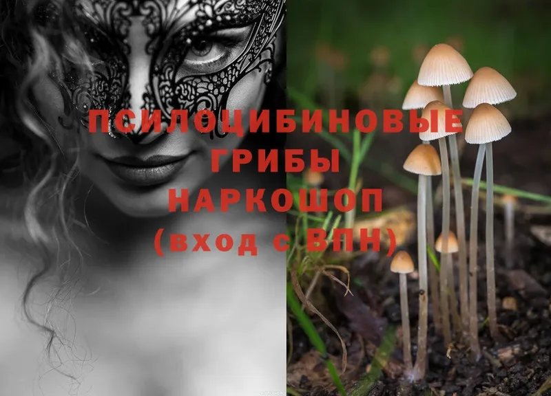 Псилоцибиновые грибы MAGIC MUSHROOMS  Лысьва 